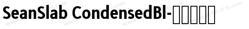 SeanSlab CondensedBl字体转换